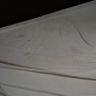 This was what we found under the thin bed cover