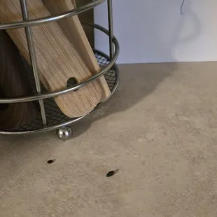 Hoste new all about this and for 6 days and nights did nothing.