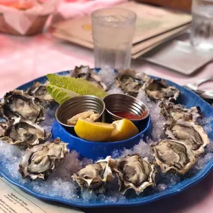 Dozen Oysters