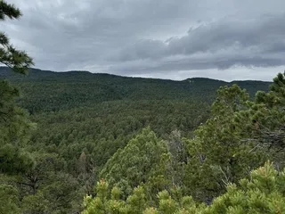 Cedar Crest Country Cottage and Stables