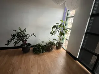 Cambio Yoga