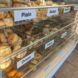 a display of bagels