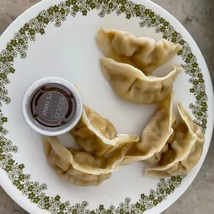 Chicken dumplings, these were the best of the whole order.