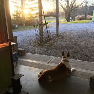 Take a look at my view