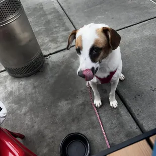 Vera devoured her hamburger patty!