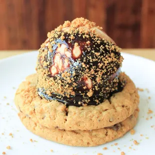 a chocolate covered cookie on a white plate