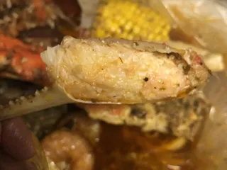 Craft Fry Wing