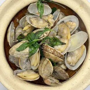 Basil clam