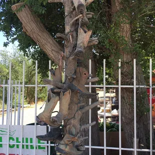 a tree made of shoes