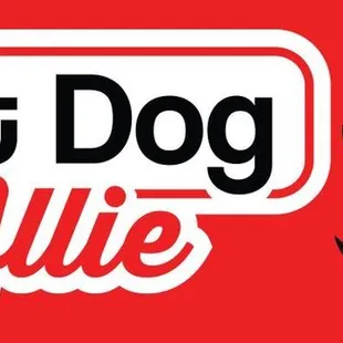 a woman with sunglasses on her face