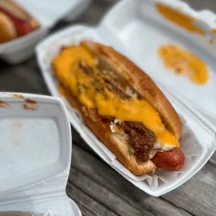 hot dogs with cheese and mustard