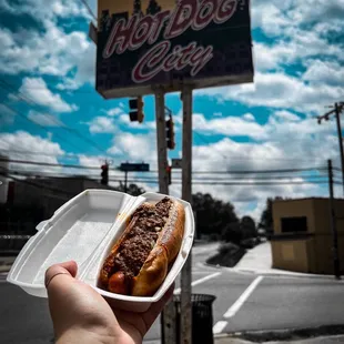 a hand holding a hot dog