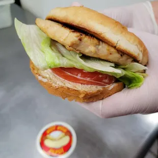 Grilled Chicken Sandwiches