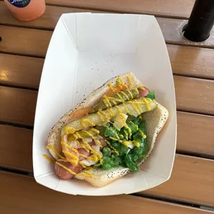 Chicago Dog