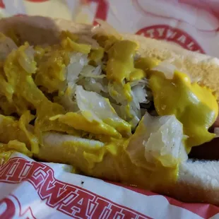 New York Dog