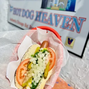 a hot dog with tomatoes and onions