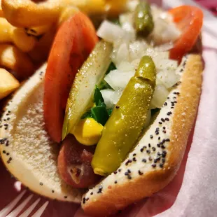 Authentic Chicago Hot Dog