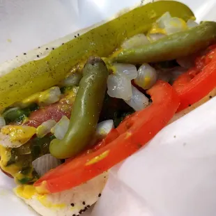Chicago Dog