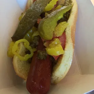 Chicago Dog