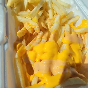 cheese fries in a styrofoam container