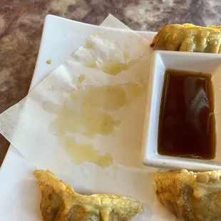 Immediately after receiving my food this was just the beginning of how much fryer oil was dripping off my gyoza