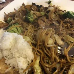 Large Mongolian Noodle Plate with Yakisoba noodles and kids sauce