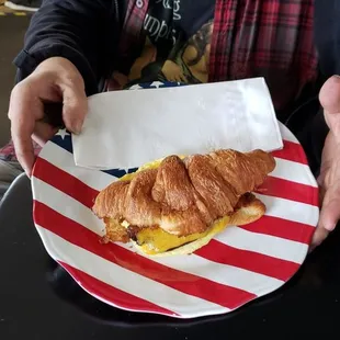 a person holding a plate of food