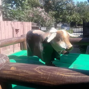 Mechanical bull