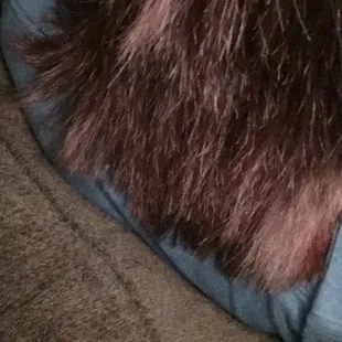 This is what Stephanie called beautiful to cover her butt!