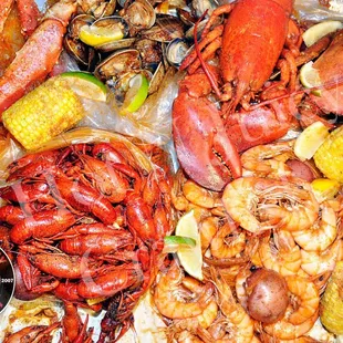 food, oysters and mussels