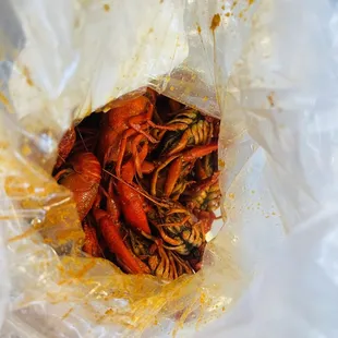 crawfish in a plastic bag
