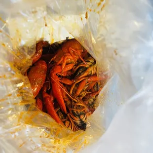 a close up of a hot and spicy crawfish
