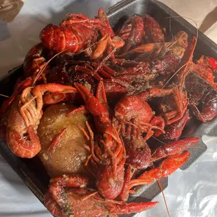 Crawfish
