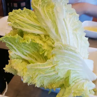 Napa Cabbage