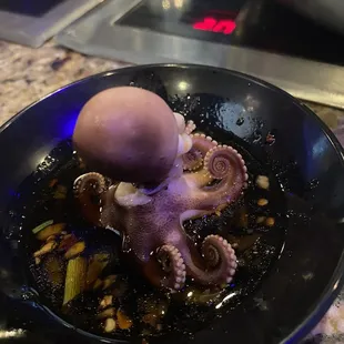 Octopus