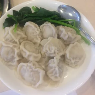 Pork Dumplings