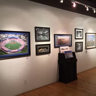 Brad Williams Photography in the Nicholas Street Gallery.