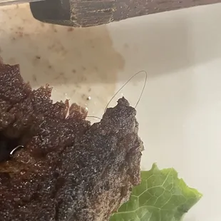 HAIR IN MY FOOD!!!