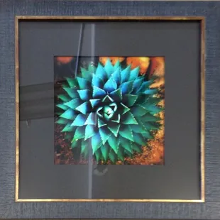 Agave photo framed