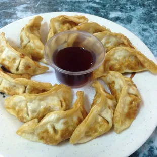 The Gyoza