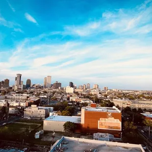 The View