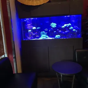 Very well behaved fish at the entrance of the sushi restaurant.  They all looked scared.