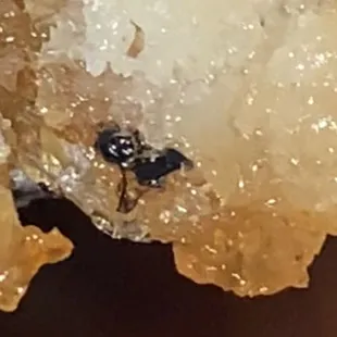 bug cooked into food C6. Honey Chicken Dinner Combo