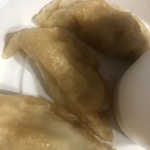 Fried Dumplings