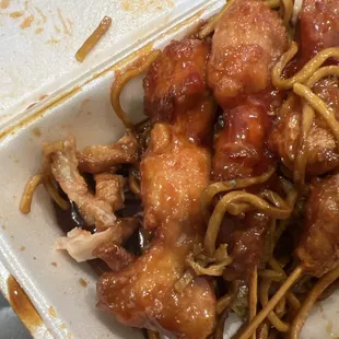 &quot;Chicken teriyaki&quot;