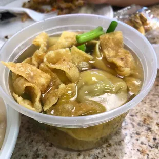 Wonton Soup