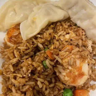 Shrimp Fried Rice and Steam Chicken Dumpling