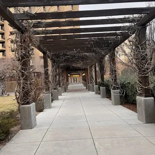 Walking path