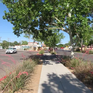 Sidewalk with flowers out front