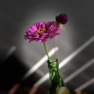 Fresh flowers in our room